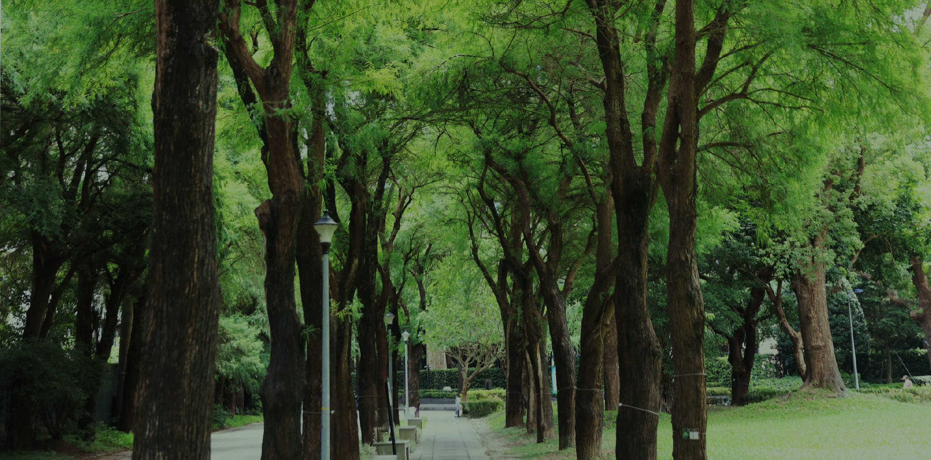 松基公園