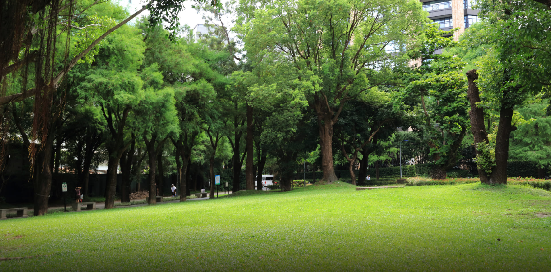 松基公園