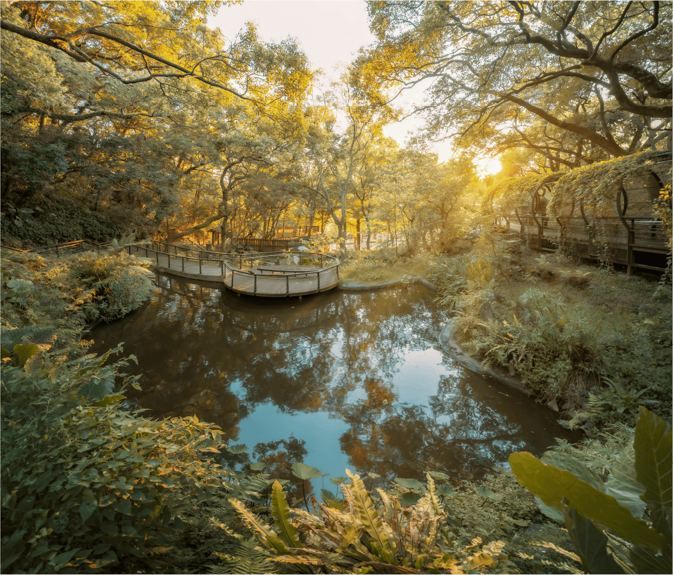 虎頭山森林步道
