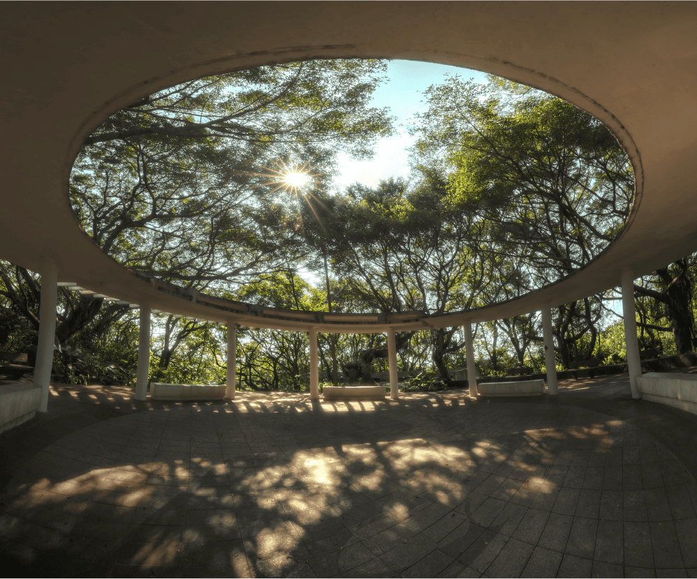 虎頭山森林步道