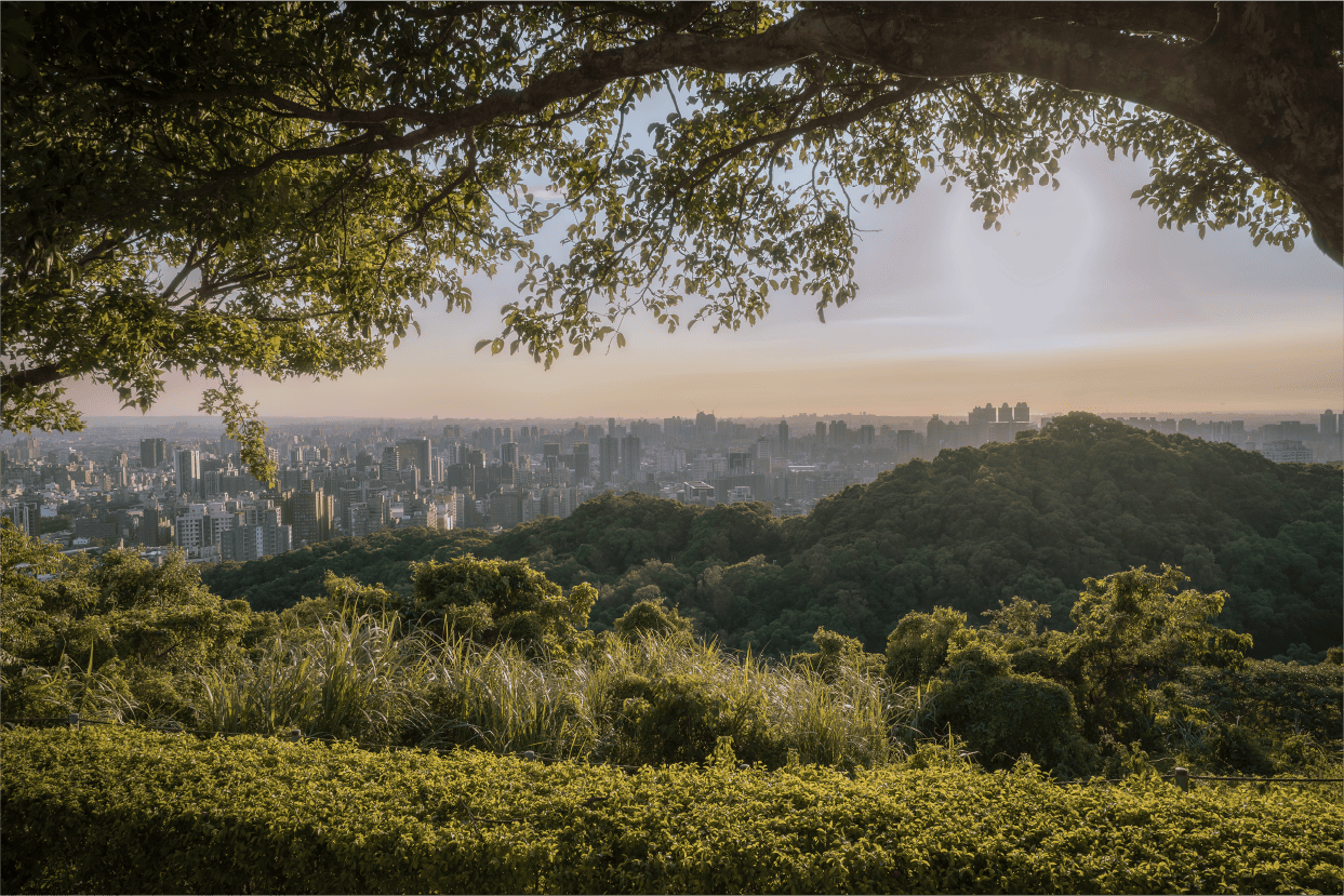 虎頭山環保公園