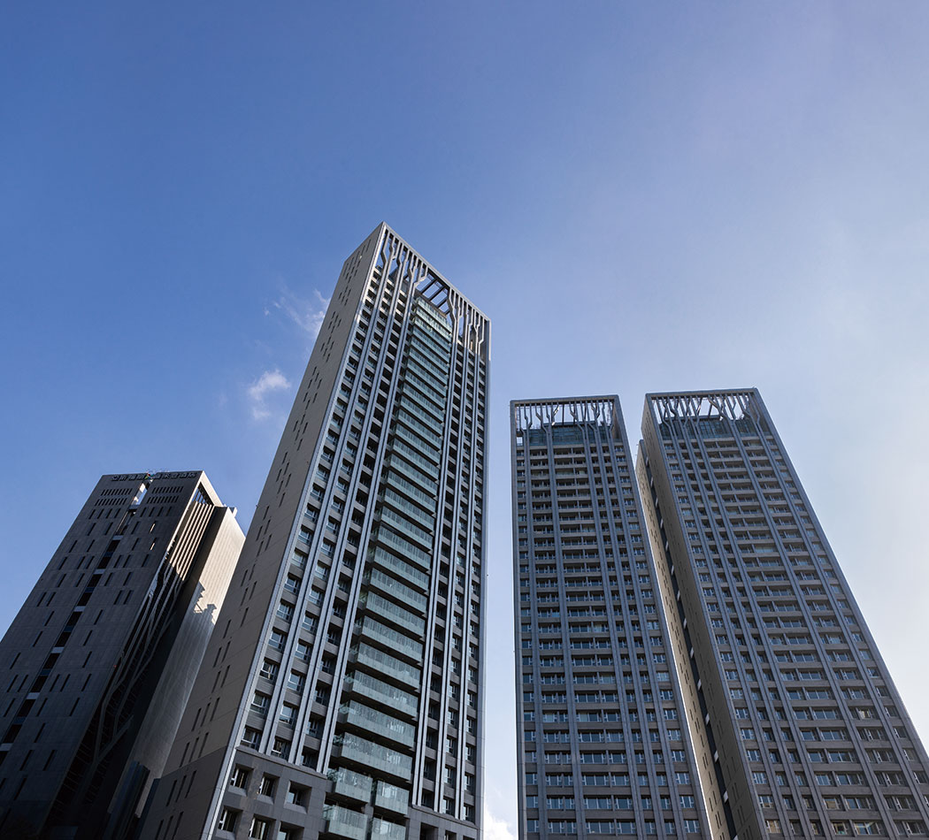 亞昕星空樹